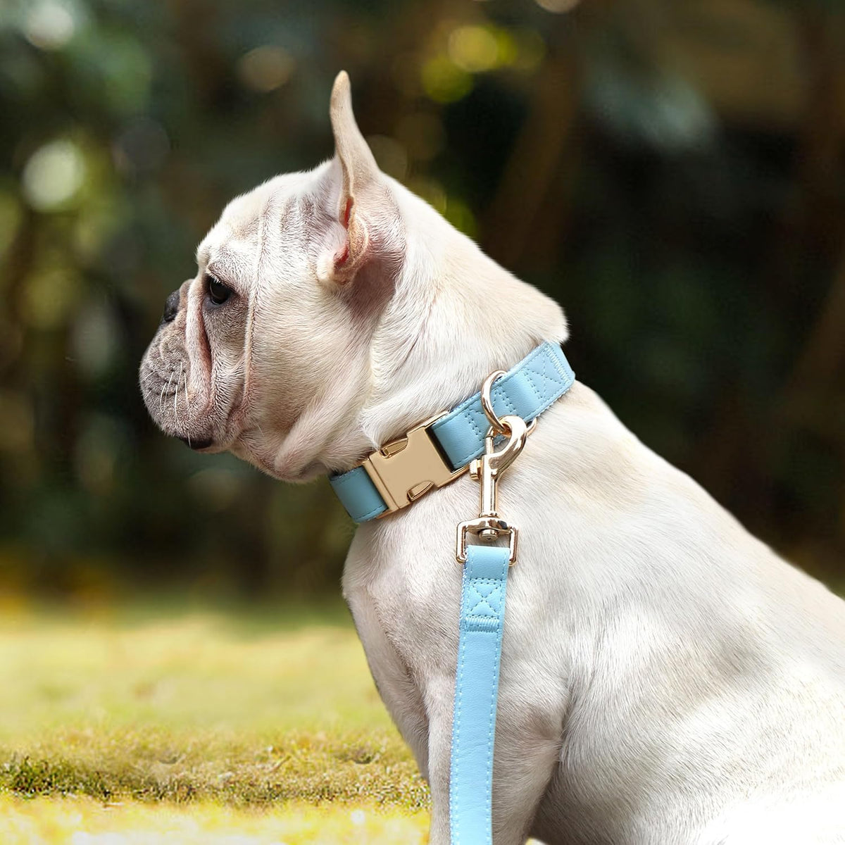 PET ARTIST Soft PU Leather Dog Collar for Small Dogs, Bright & Classic Nylon Padded Durable Dog