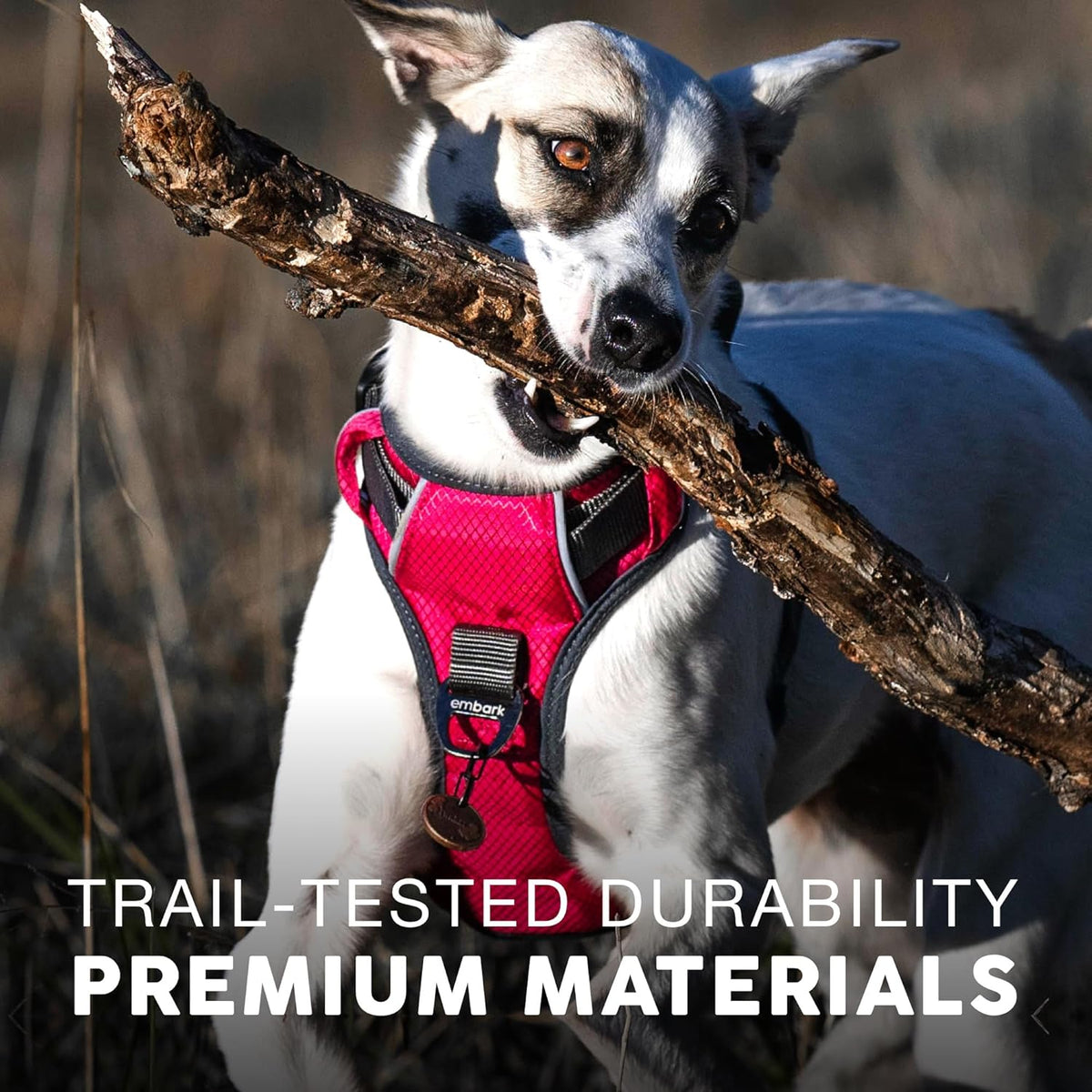 Embark Adventure Dog Harness, Reflective Trim No Pull Dog Harnesses for Small Sized Dogs - Military