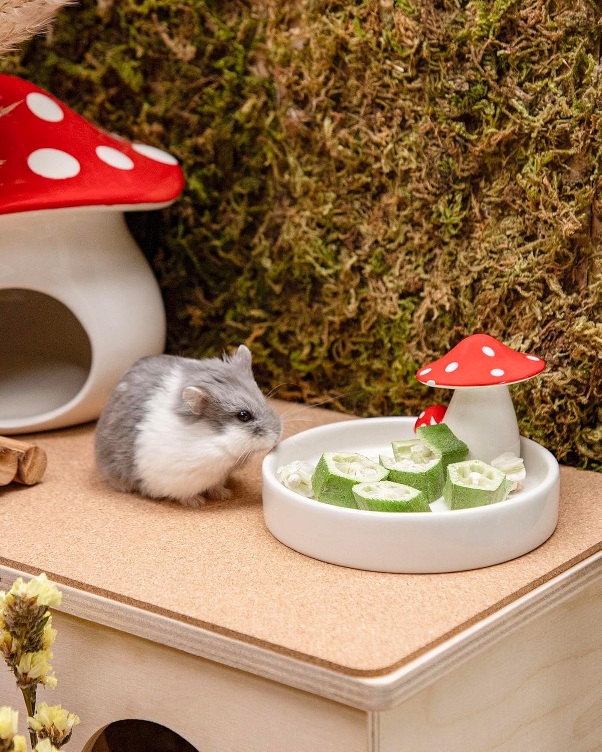 Niteangel Hamster Snack & Treats Toy - Small Animal Natural Treat for Dwarf Syrian Robo Hamsters