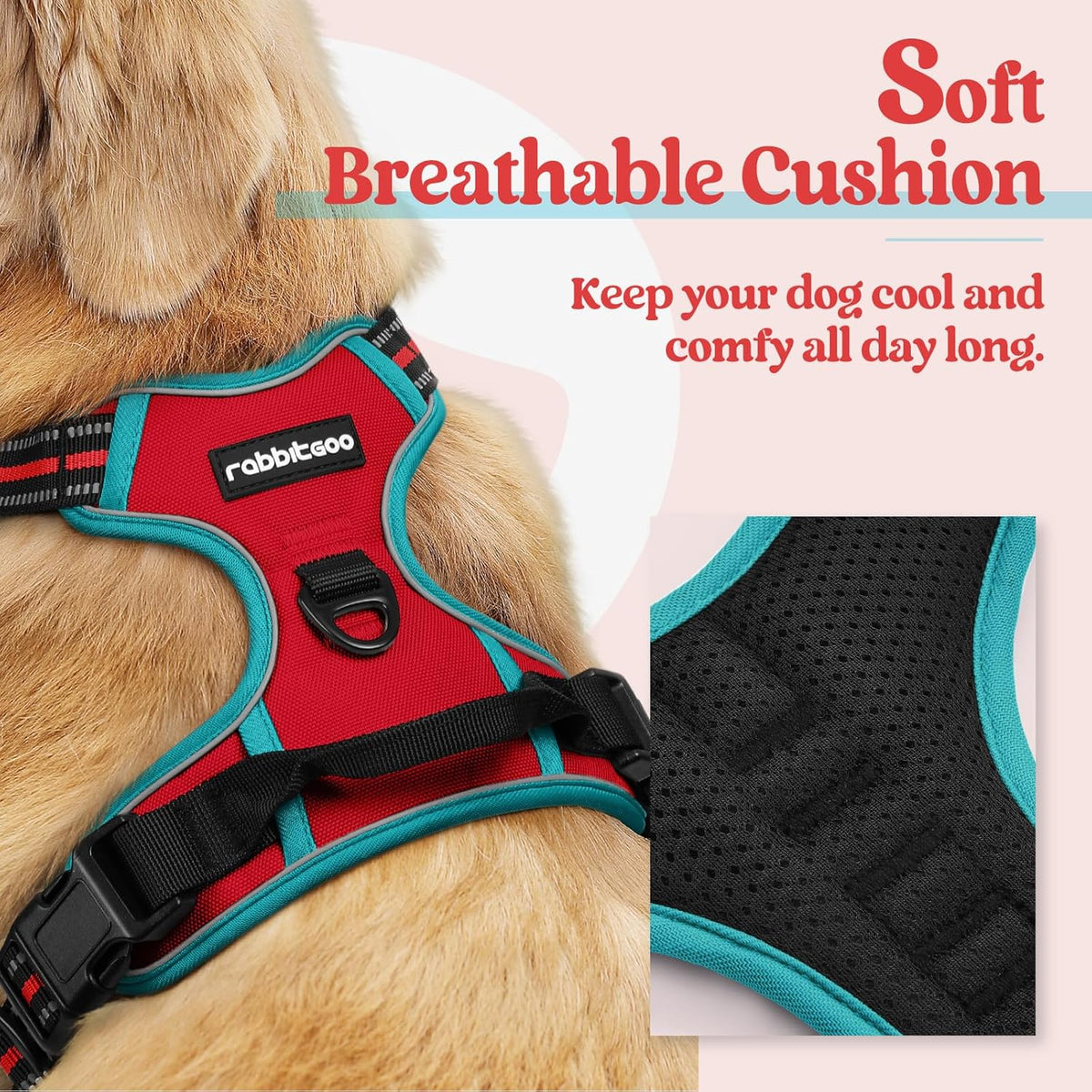 rabbitgoo Dog Harness No Pull with 2 Leash Clips, Adjustable Soft Padded, Reflective Oxford No