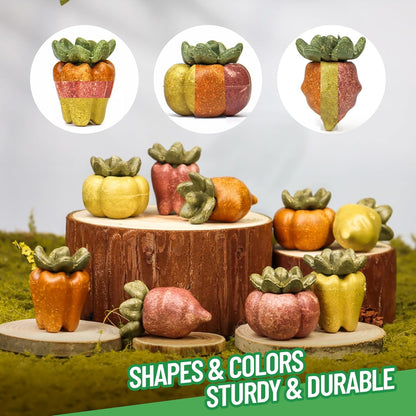 TEEWY Guinea Pig Chew Toys, Natural Vegetables and Timothy Grass, Hamster Chew Toys, Prevents