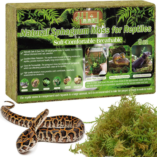 Halatool 9OZ Natural Sphagnum Moss for Reptiles- 14QT Green Live Moss for Terrarium Plants Long