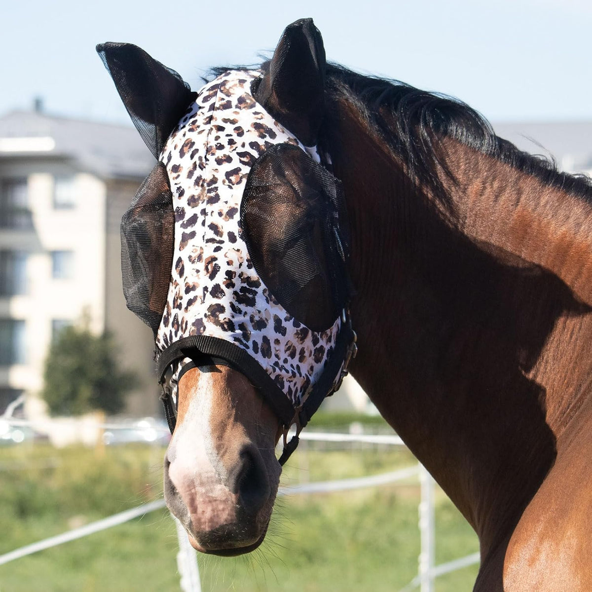 Harrison Howard Super Comfort Stretchy Fly Mask Large Eye Space with UV Protection Soft on Skin