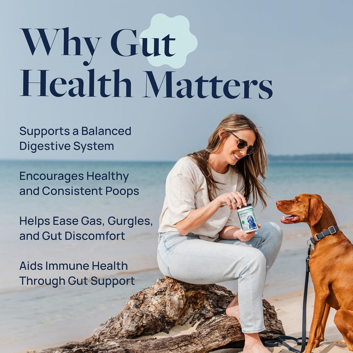 Veterinary Formula Gut Health Supplement for Dogs – Vet-Formulated Probiotic Chews with Digestive