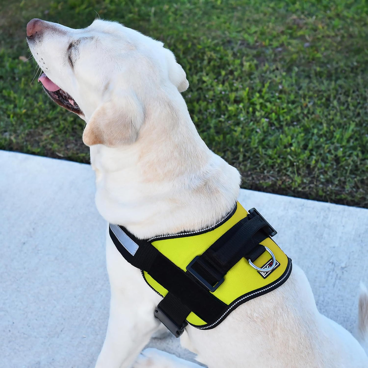 Dogline Dog Harness, Reflective No-Pull Adjustable Vest with Handle for Walking, Training