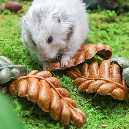 TEEWY 6PCS Hamster Chew Toys, Guinea Pig Chew Toys for Teeth with Natural Vegetables and Timothy