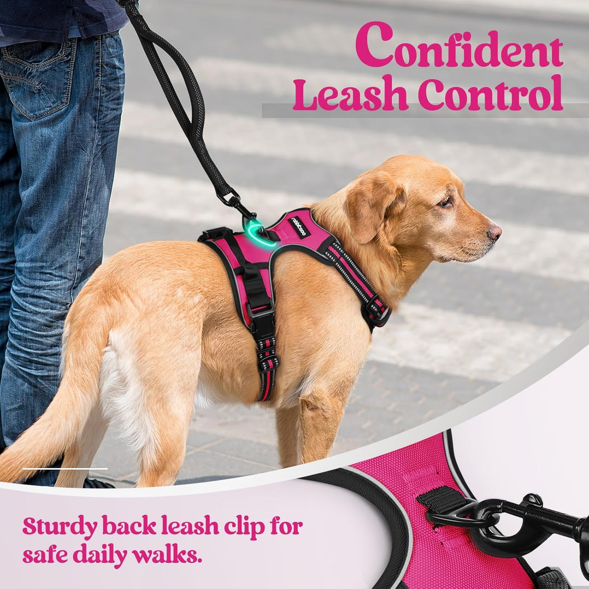 rabbitgoo Dog Harness No Pull with 2 Leash Clips, Adjustable Soft Padded, Reflective Oxford No