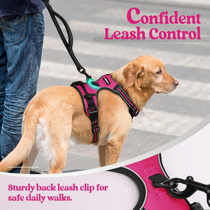 rabbitgoo Dog Harness No Pull with 2 Leash Clips, Adjustable Soft Padded, Reflective Oxford No