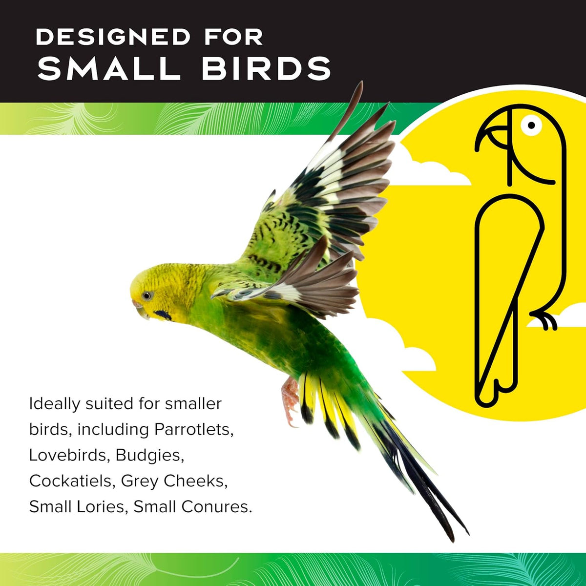 Featherland Paradise Cotton Snuggle Ring Bird Toy, Bird Perch, Large Bird Toys, for Parrots