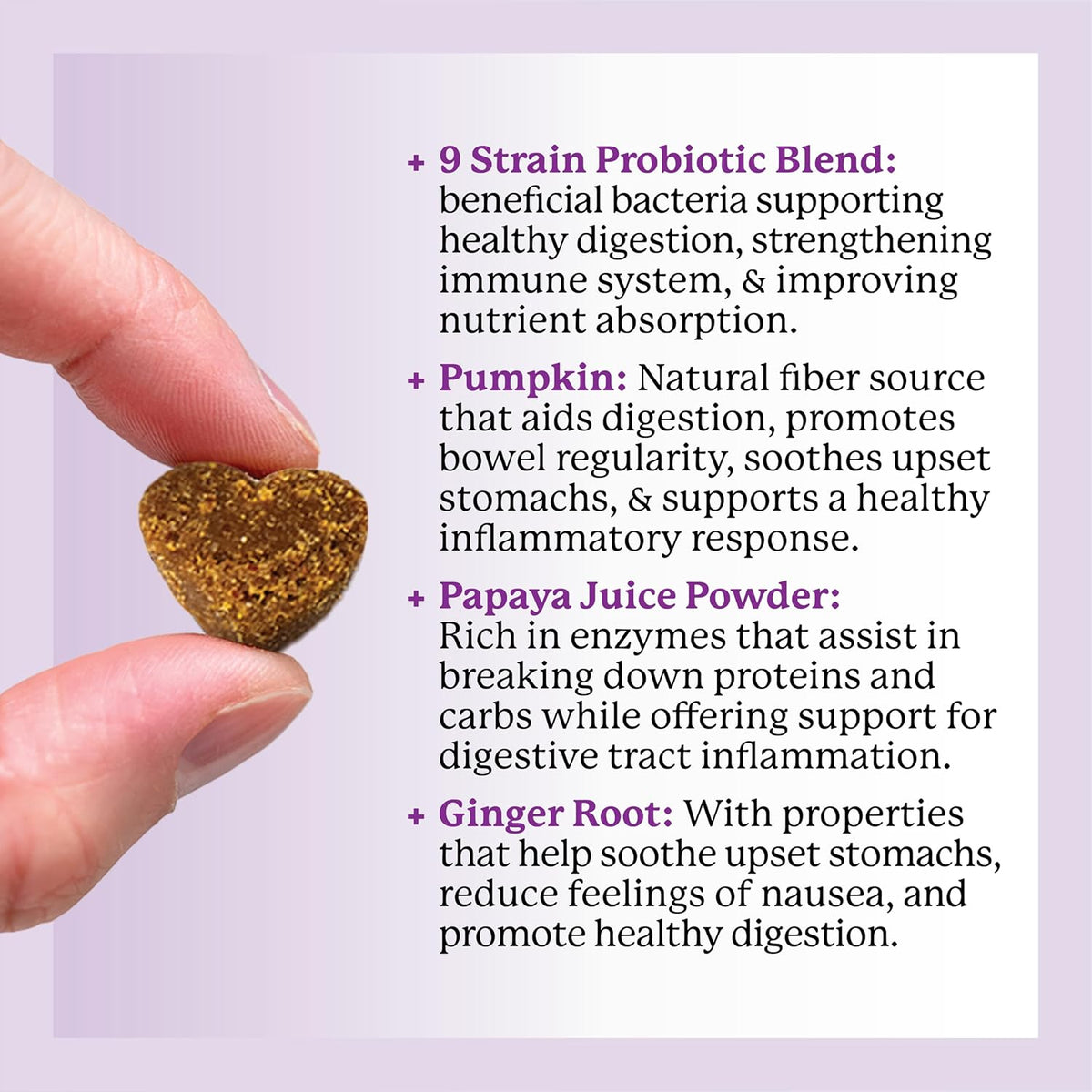 Dr. Harvey's Digestive Probiotic Soft Chews for Dogs, 7 Probiotics for Gut Health, Diarrhea and
