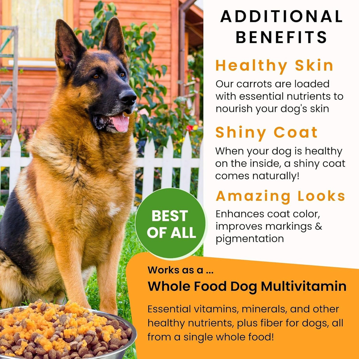 Olewo Original Carrots for Dogs – Fiber for Perfect Poop, Dehydrated Dog Food Toppers for Picky