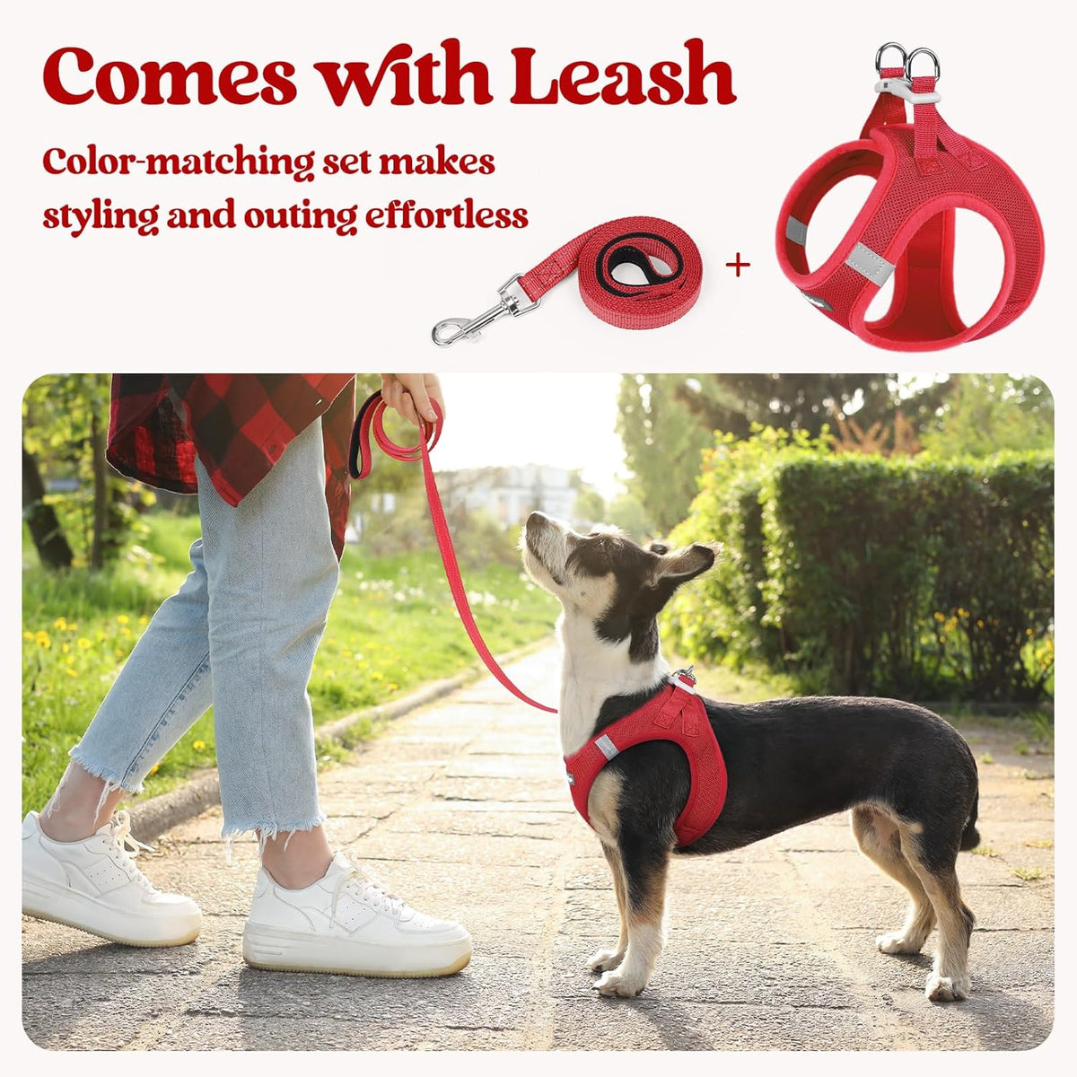 rabbitgoo Dog Harness Small Sized and Leash Set, Step in Soft Light Puppy Vest, Breathable Mesh Pet