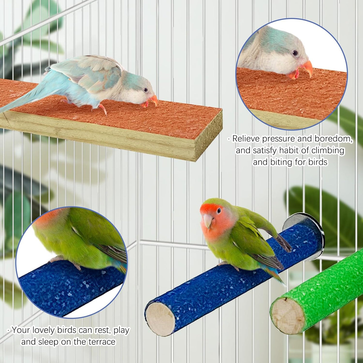 Hamiledyi 5 PCS Bird Perch Stand - Wooden Parrot Perch Stand with Colorful Sand Paw Grinding Stick