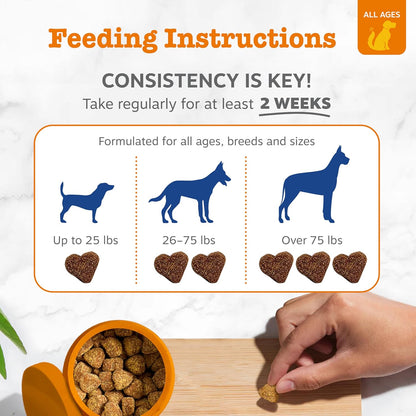 Zesty Paws Dog Multivitamin, Chewable Dog Vitamins and Supplements for Hip & Joints, Skin & Coat