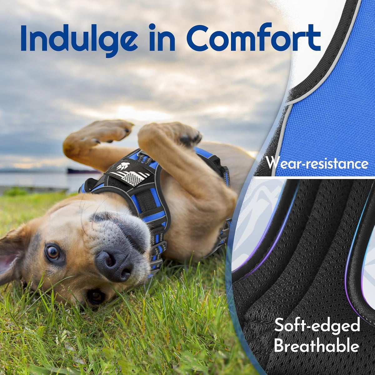 Eagloo Dog Harness Small Sized, Easy Wearing with 3 Buckles, Adjustable No Pull Pet Harness with 2