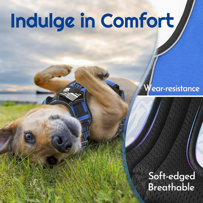 Eagloo Dog Harness Small Sized, Easy Wearing with 3 Buckles, Adjustable No Pull Pet Harness with 2
