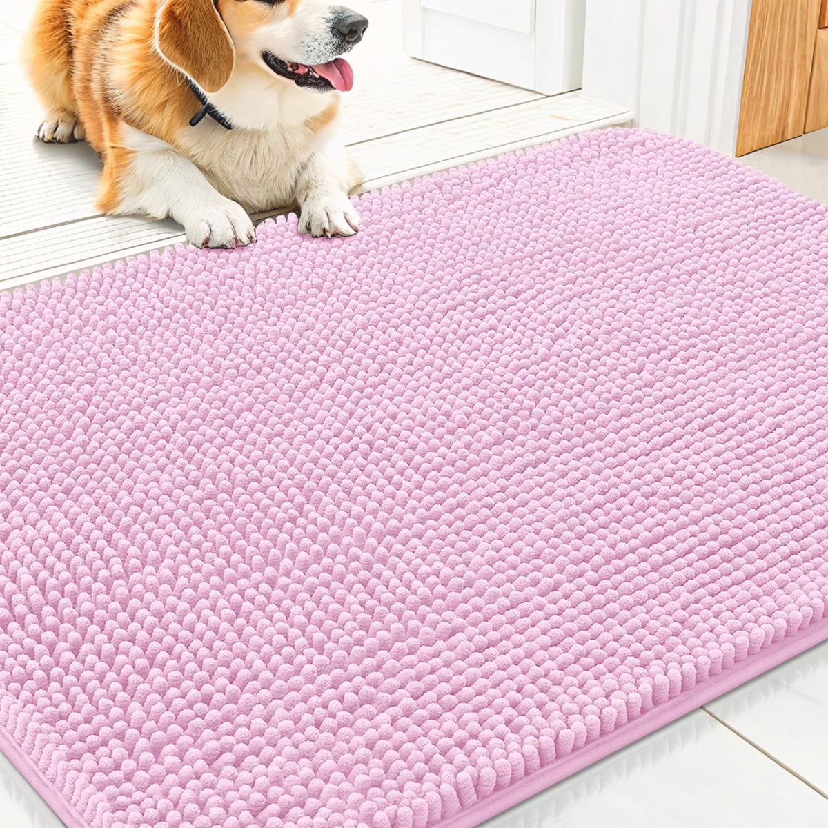 Smiry Dog Door Mat for Muddy Paws 30x20, Absorbs Moisture and Dirt Doormat, Non-Slip Washable Quick