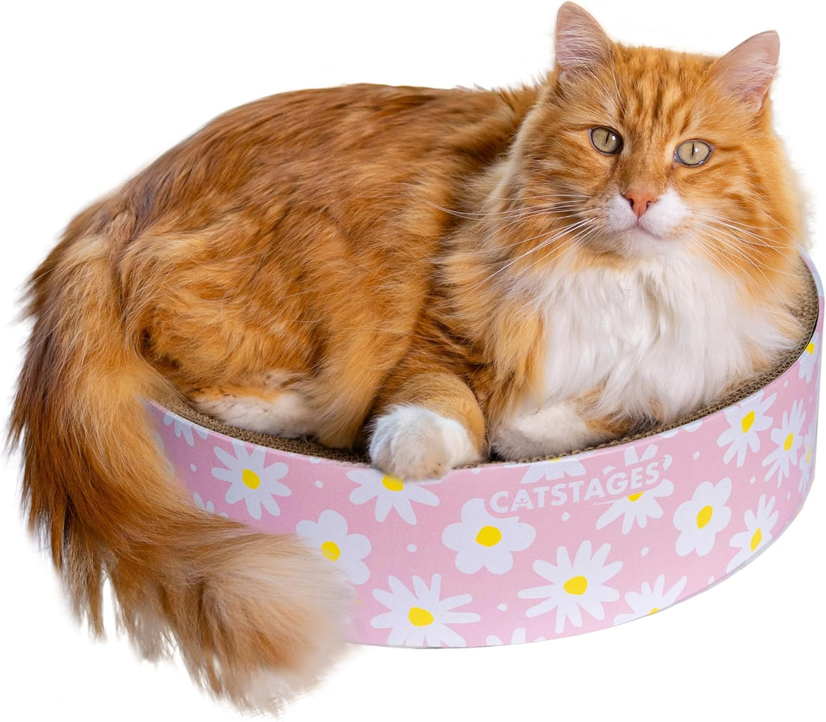 Catstages Scratch & Snuggle Daisy Two-in-One Corrugated Cat Scratcher and Lounging Spot, Floral
