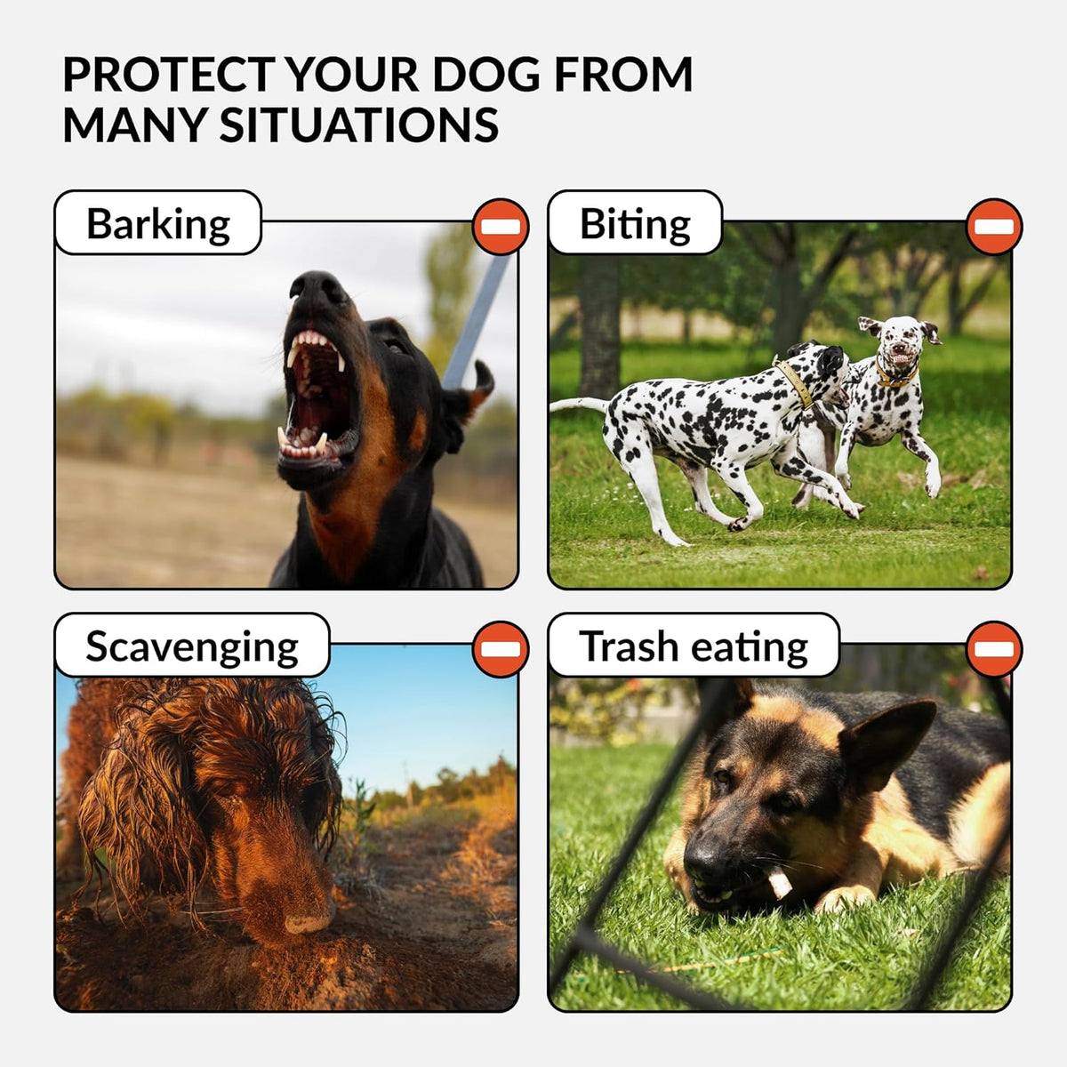 CollarDirect Dog Muzzle German Shepherd Dalmatian Doberman Setter Leather Basket Medium Large