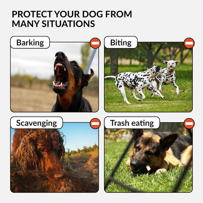 CollarDirect Dog Muzzle German Shepherd Dalmatian Doberman Setter Leather Basket Medium Large