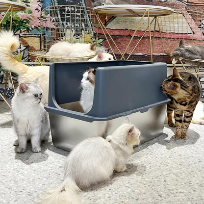 Large Stainless Steel Litter Box with Lid, High Sides, 16" Metal Cat Litter Box, Extra Large Litter