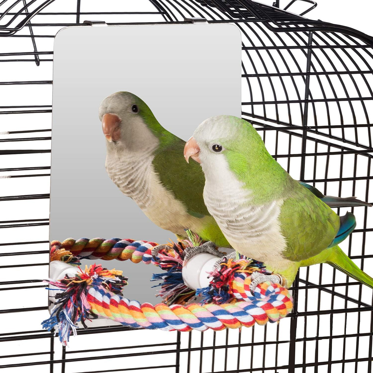 Colorday 7" Bird Mirror with Rope Perch, Bird Swing, Parrot Cage Toys for Parakeet African Grey