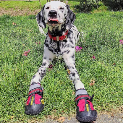 QUMY Dog Shoes for Large Dogs, Medium Dog Boots & Paw Protectors for Winter Snowy Day, Summer Hot