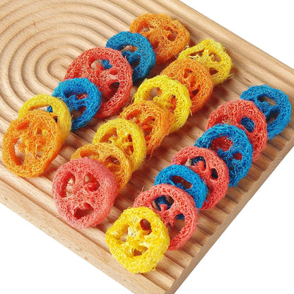 15 Pcs Fruit Flavored Loofah Slices Rabbit Chew Toys Guinea Pig Chew Toys Small Pet Chews Bunny