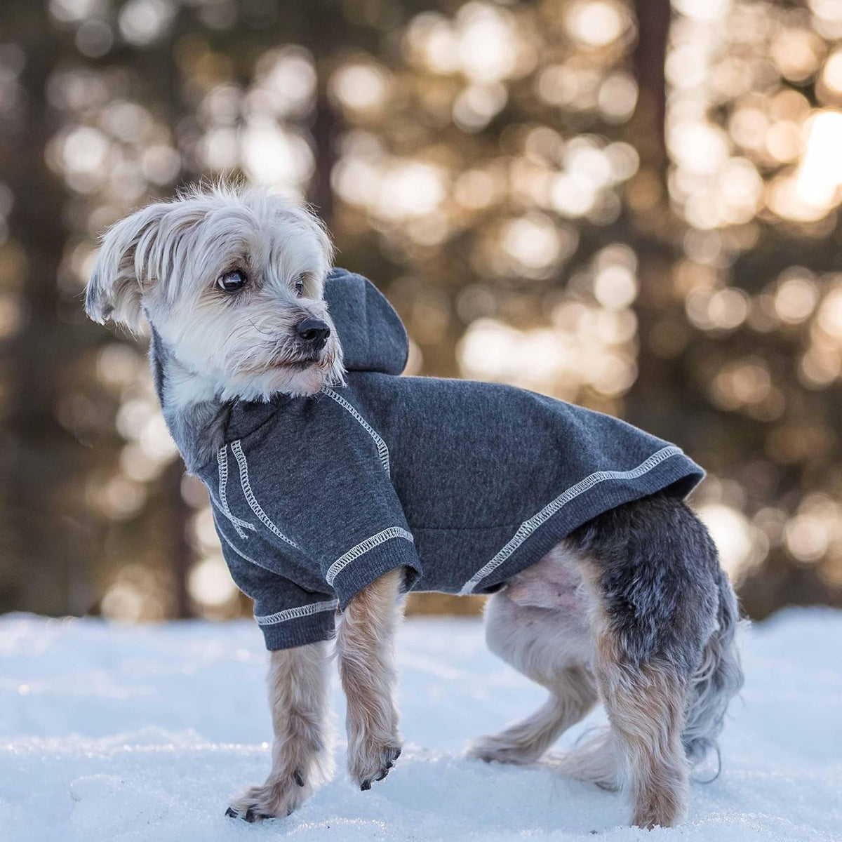 Blueberry Pet Essentials Dog Hoodie – 10 inch, Cotton‑Blend Sweatshirt with Hood, Charcoal Grey