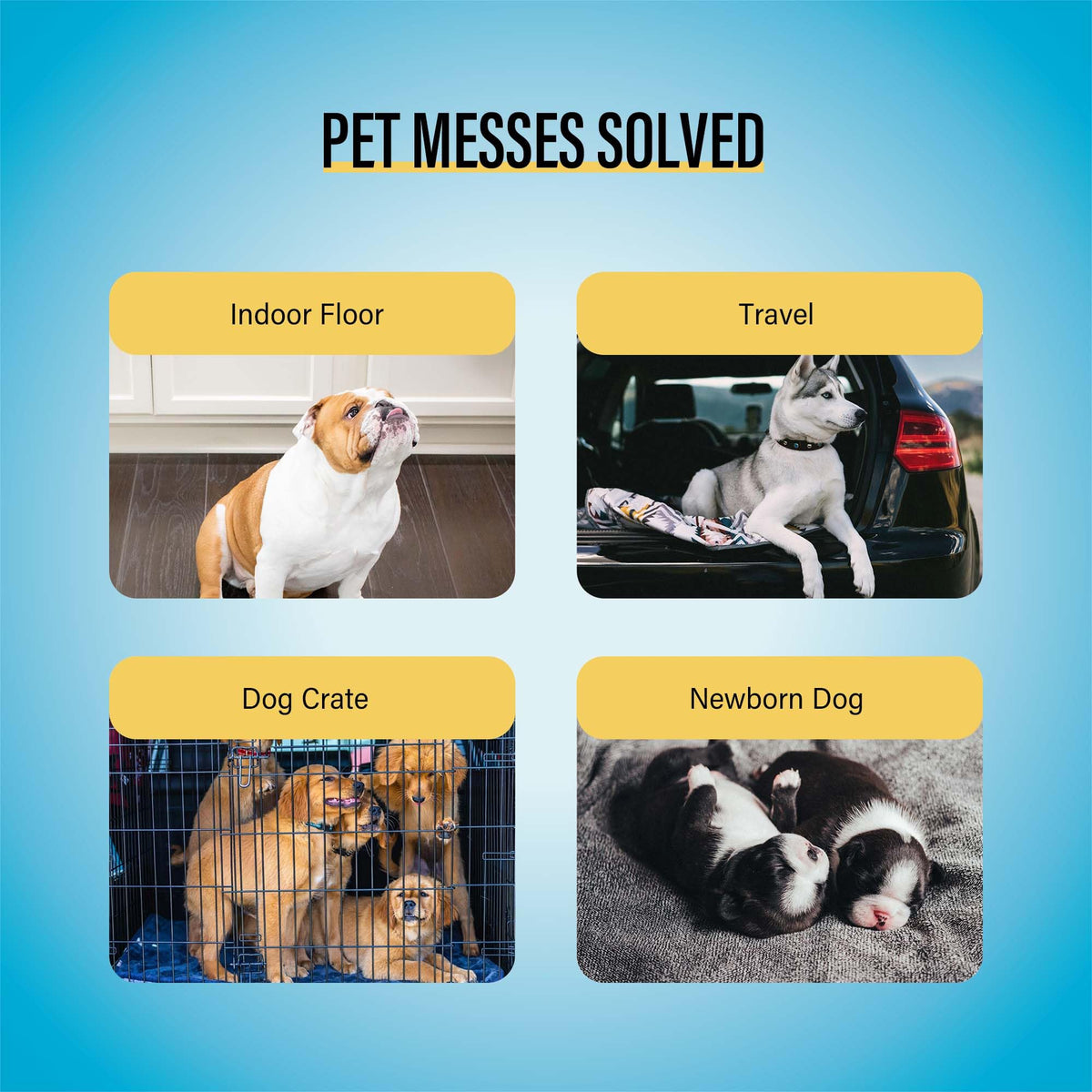 COCOYO Best Value Training Pads. Chosen for real quality, fits naturally into modern pet homes.
