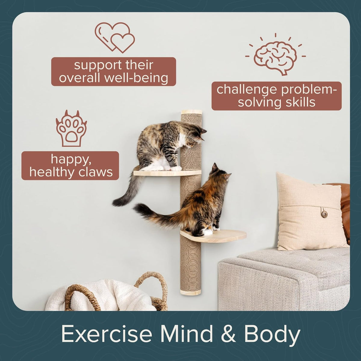 Cat Climbing Wall System – Modern Floating Shelves & Perches for Cats - Sunrise Steps | Ascentials