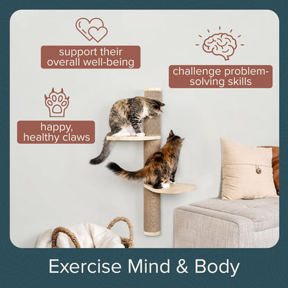 Cat Climbing Wall System – Modern Floating Shelves & Perches for Cats - Sunrise Steps | Ascentials
