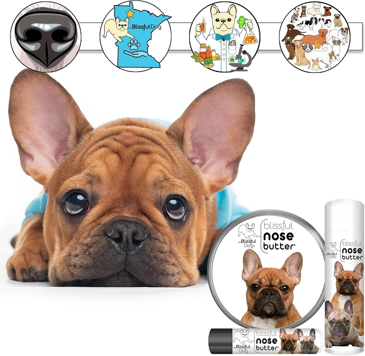 The Blissful Dog French Bulldog Black Masked Fawn Unscented Nose Butter - Dog Nose Butter, 8 Ounce