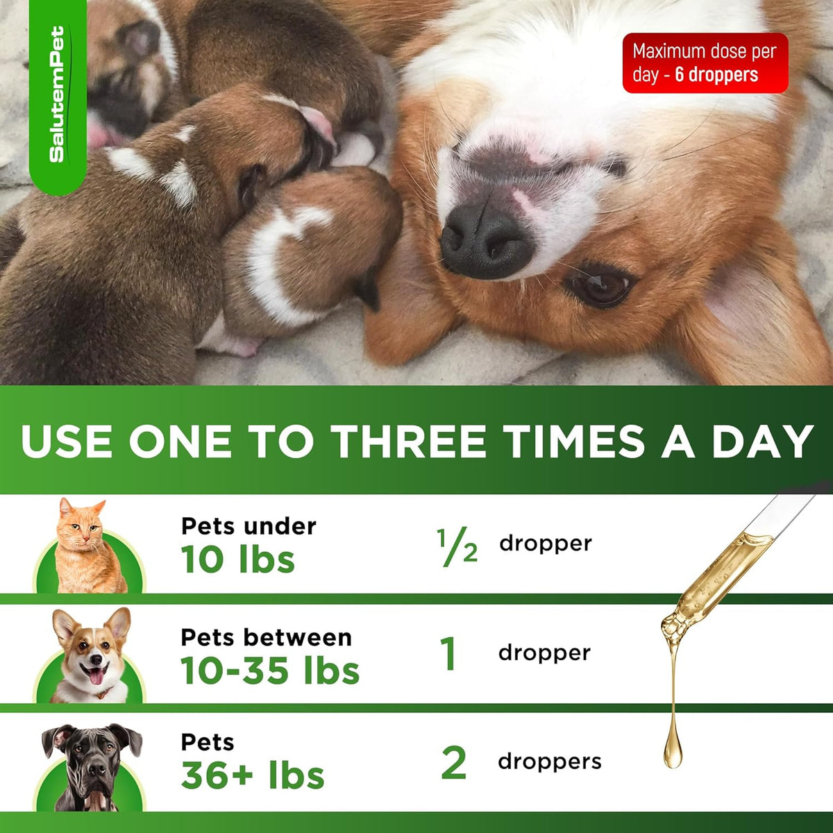 Dog Prenatal Vitamins for Moms During Lactating – Prenatal Vitamins for Dogs & Cats of All Breeds