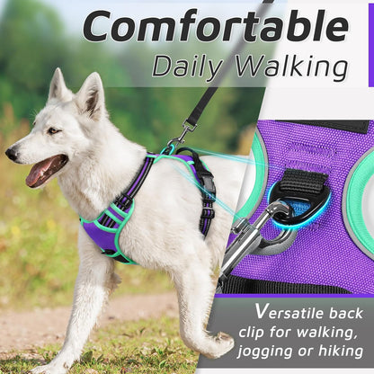 Eagloo Dog Harness Small Sized Dog, No Pull Service Vest with Reflective Strips and Control Handle