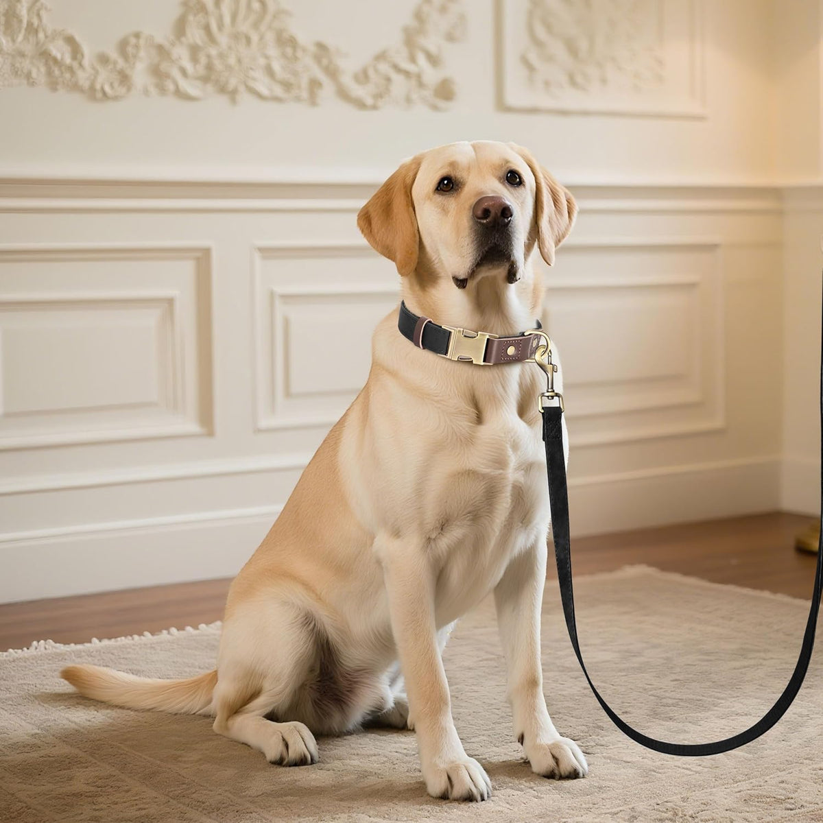 Didog Soft PU Leather Dog Collar for Large Dogs,Classic Adjustable Dog Collars with Quick Release