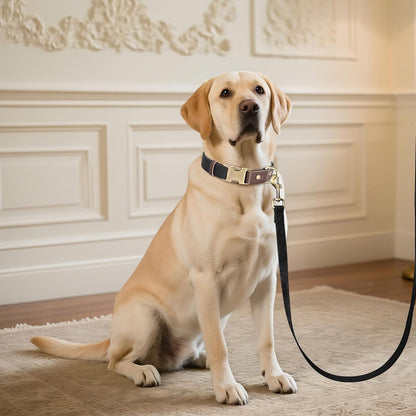 Didog Soft PU Leather Dog Collar for Large Dogs,Classic Adjustable Dog Collars with Quick Release