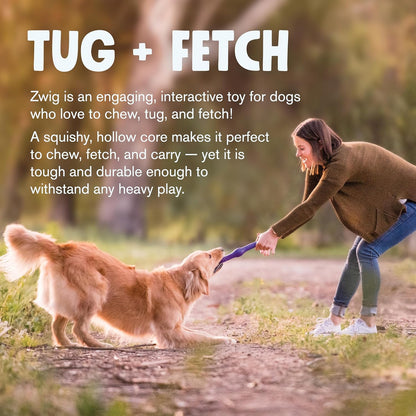 WEST PAW Zogoflex Echo Zwig Squeezy Dog Fetching Stick – Bouncy, Hollow, Squishy Interactive Toy