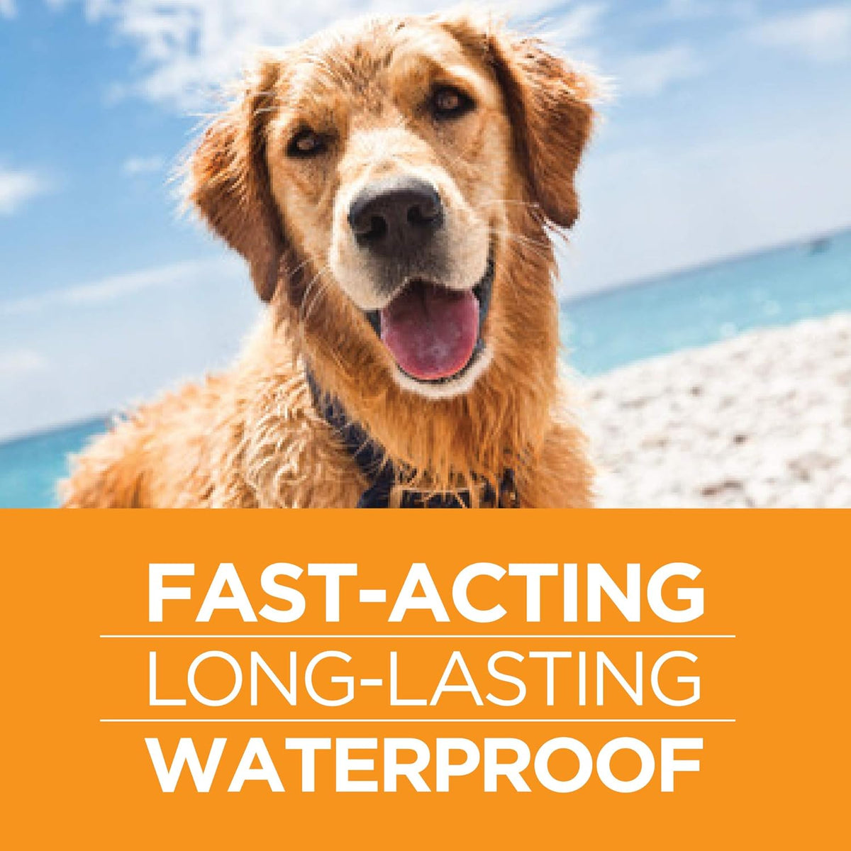 FirstAct Plus Flea Treatment for Dogs, Small Dogs 6-22 lbs, 3 Doses, Same Active Ingredients as