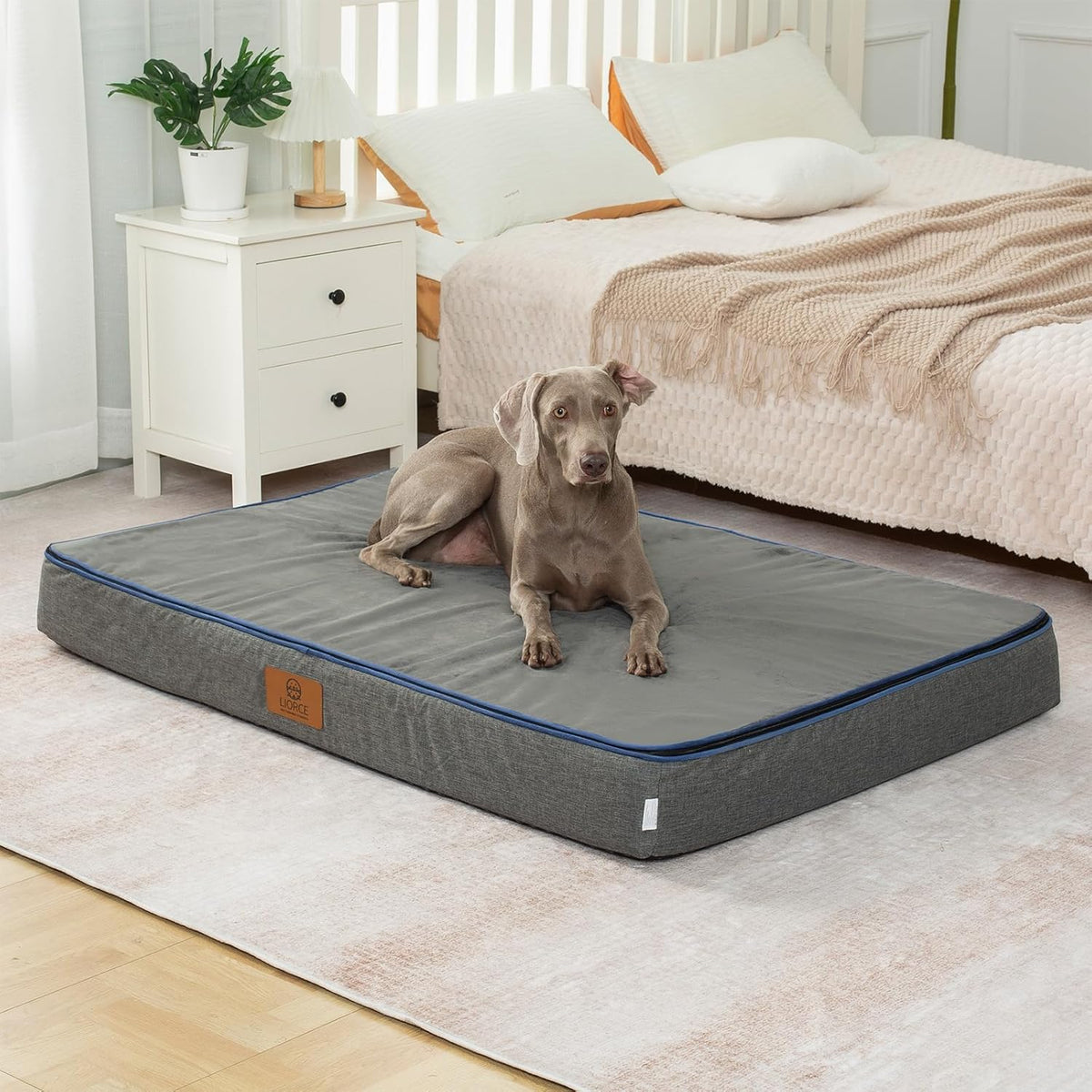 Orthopedic Memory Foam Giant Dog Bed - 6" Thick Beds for Large Sized Dog - Waterproof Removable
