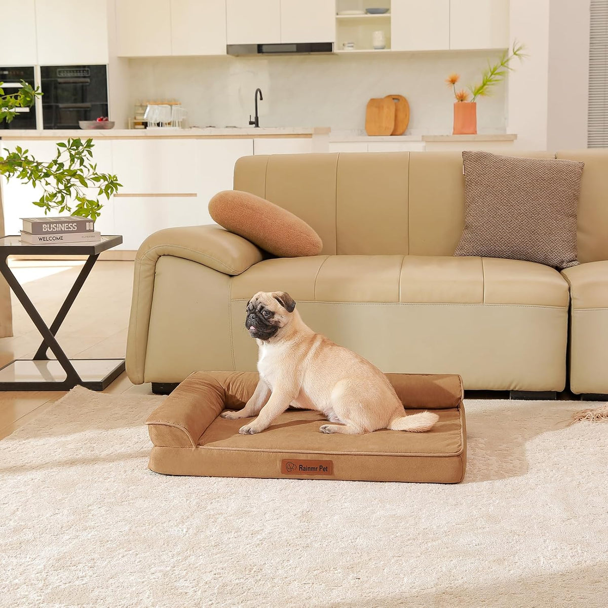 Upgraded Medium Dog Bed, 3" Memory Foam with Waterproof Liner, Chew Resistant Microsuede Cover