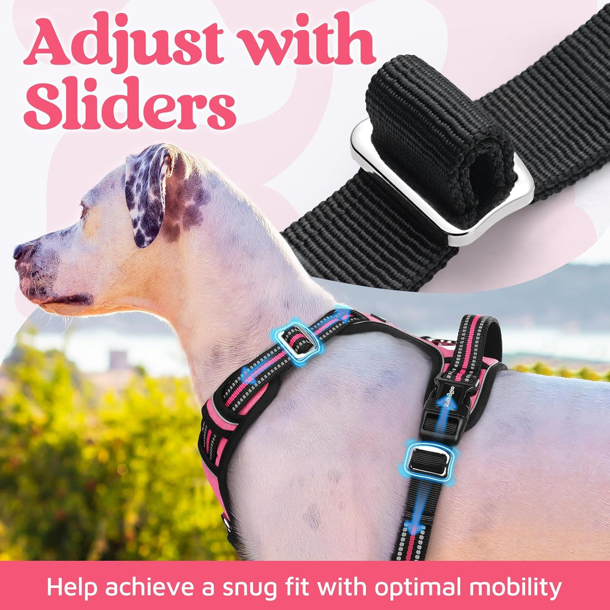 rabbitgoo Dog Harness Small Sized, No Pull Dog Vest with 3 Buckles, Adjustable Soft Padded Pet