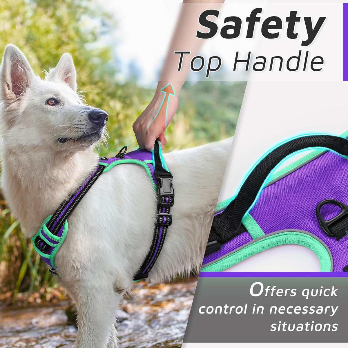 Eagloo Dog Harness Small Sized Dog, No Pull Service Vest with Reflective Strips and Control Handle