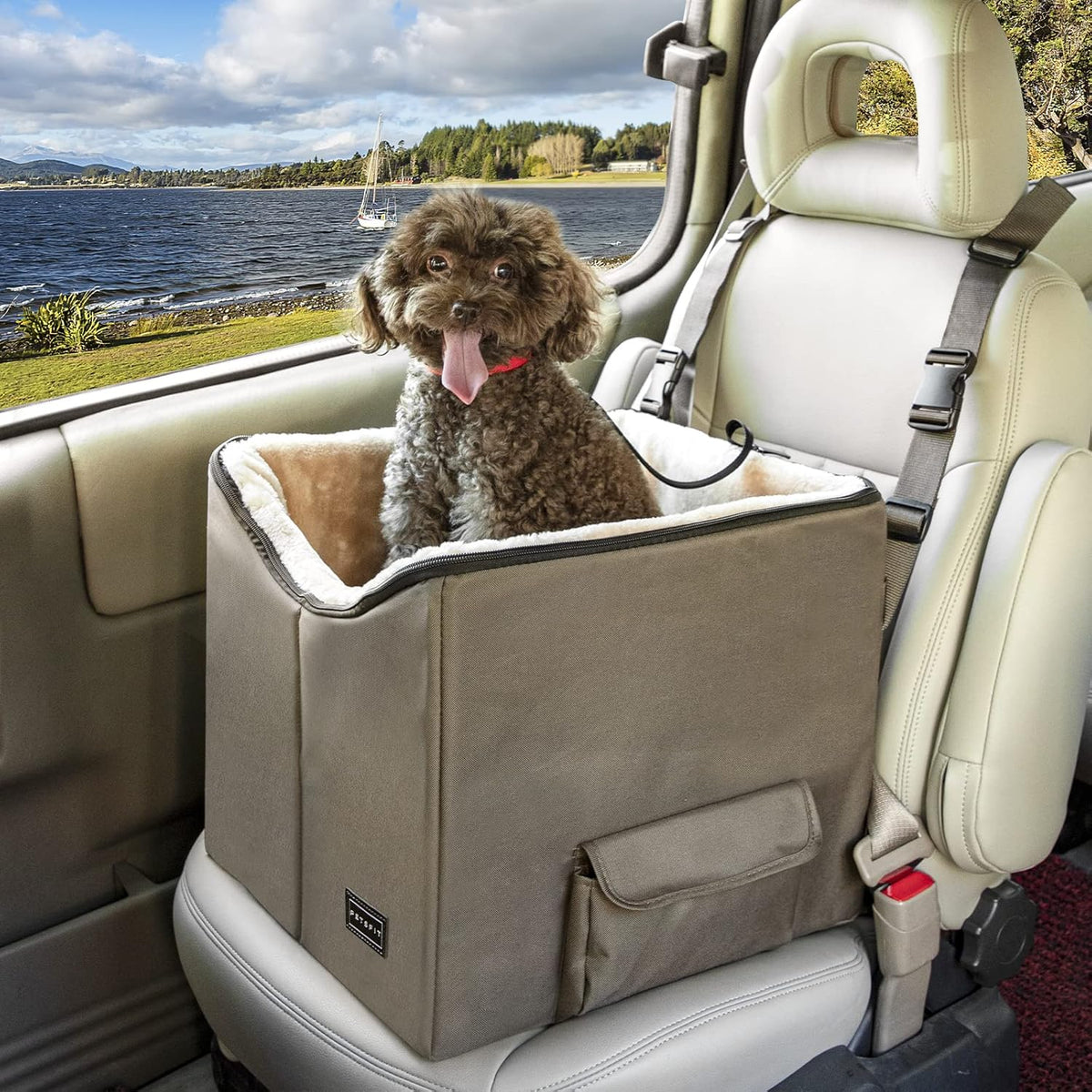 Petsfit Dog Booster Car Seat for Small Dogs, Dog Car Seat with Safety Leash, Suitable for Cars