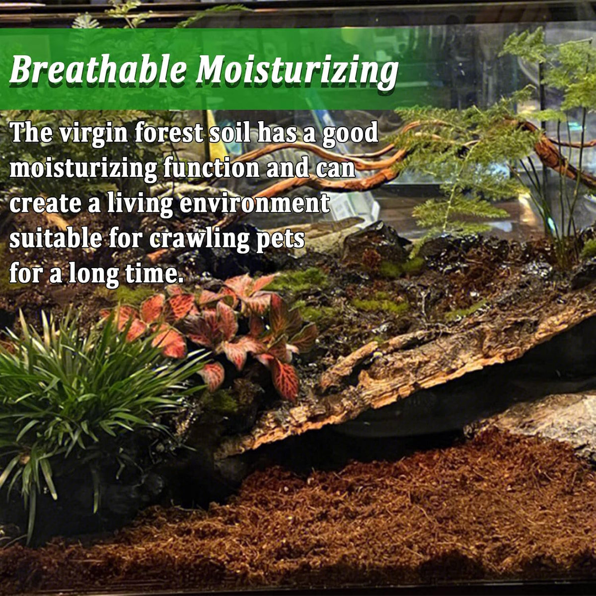 BNOSDM Reptile Soil Substrate Fluffy Small-Strand Reptile Substrate and Snake Bedding Clean Natural