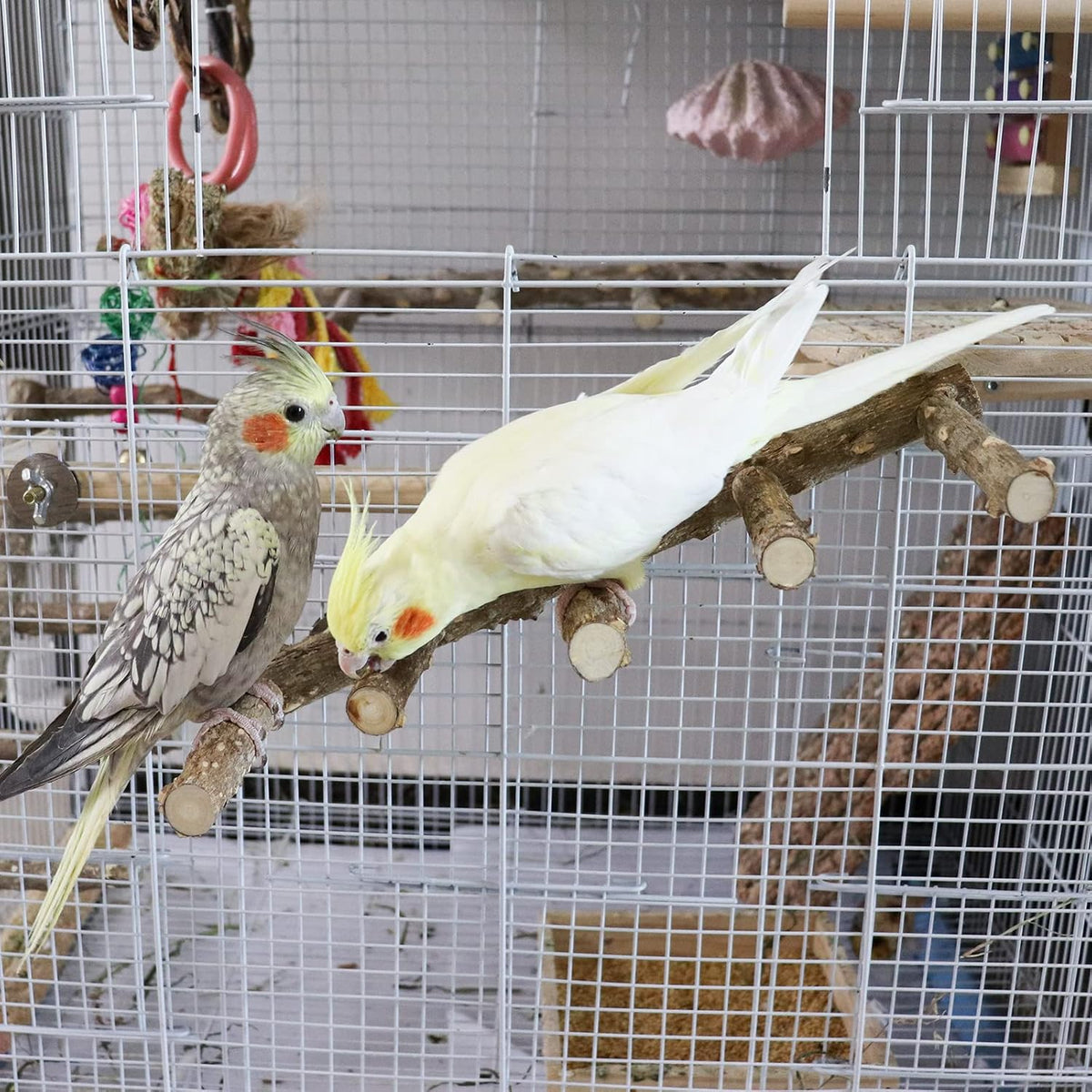 15.7 Inch Large Bird Perch Stand, Natural Wood Parrot Climbing Ladder Toys, Bird Cage Accessories