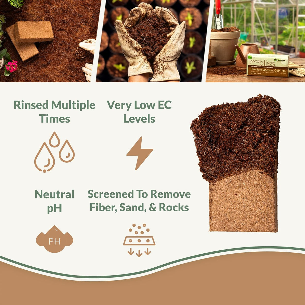Coco Bliss 650gm Bricks (6-Pack) - Organic Coco Coir for Plants - OMRI-Listed Coco Coir for Garden