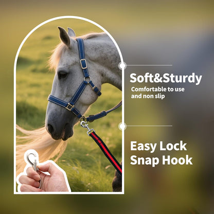 Lunge Line for Horse, Premium Equine Lunge Line with Swivel Bolt Snap for Accurate Equestrian