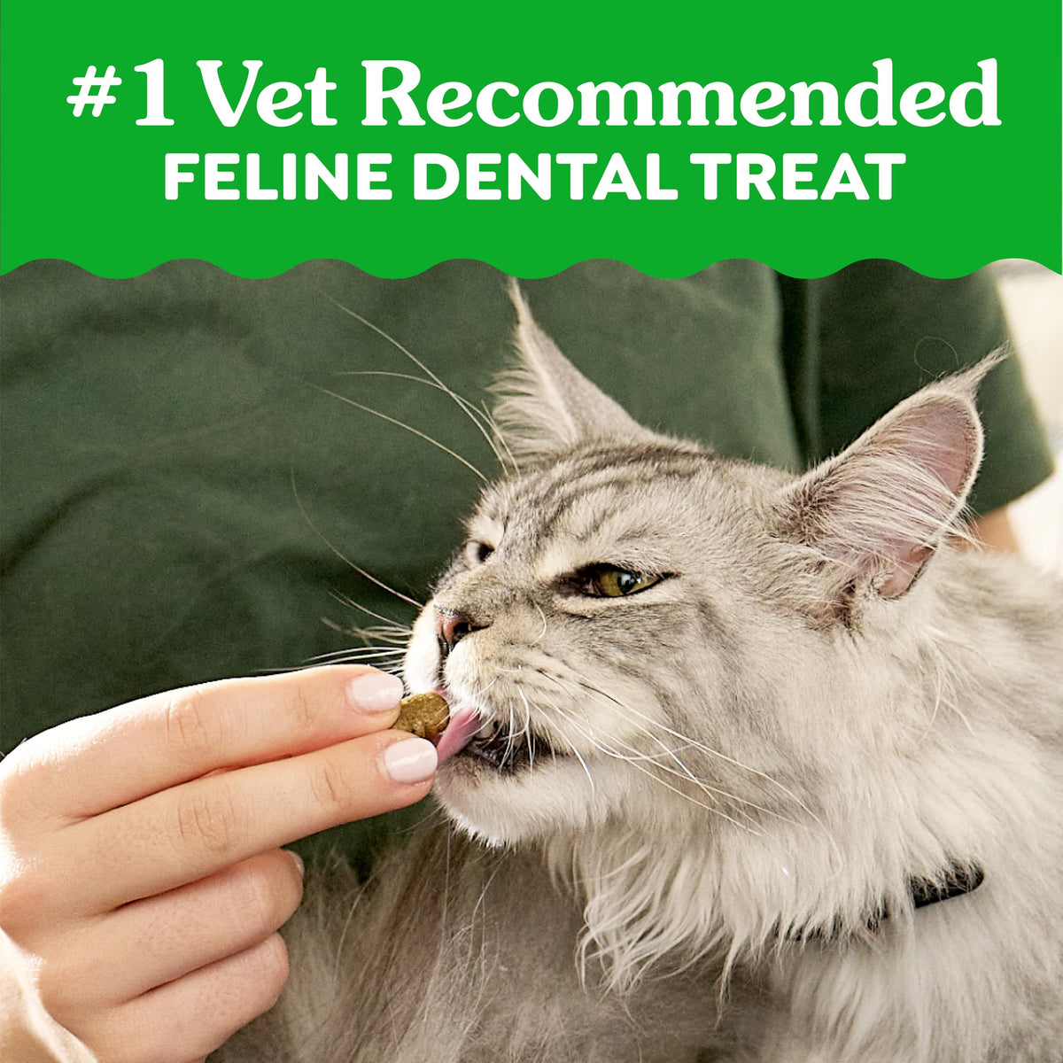 Greenies Feline Natural Crunchy Dental Cat Treats. Chosen for real quality, fits naturally into