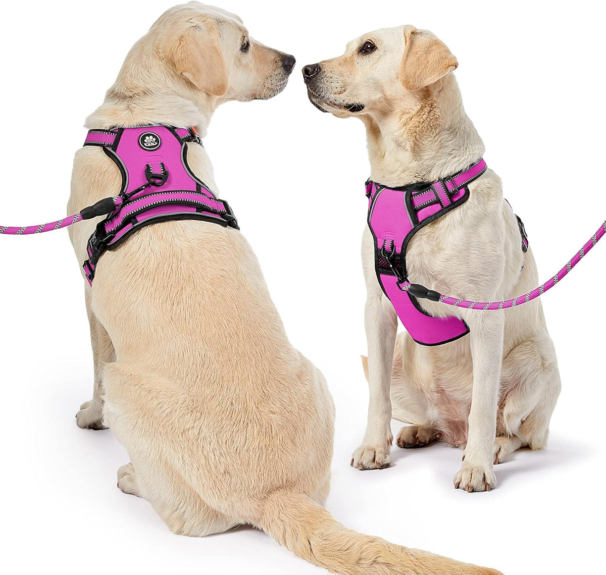NESTROAD No Pull Dog Harness,Adjustable Oxford Dog Vest Harness with Leash,Reflective No-Choke Pet
